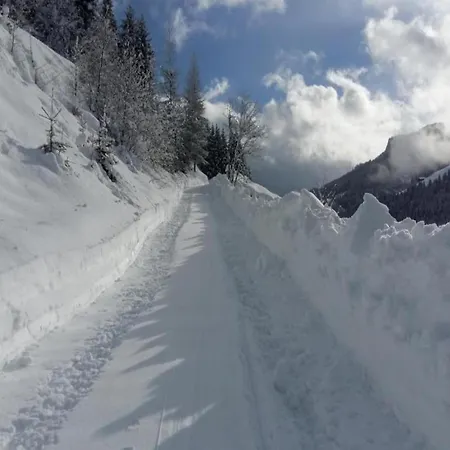 In Near Grafenberg Lift *